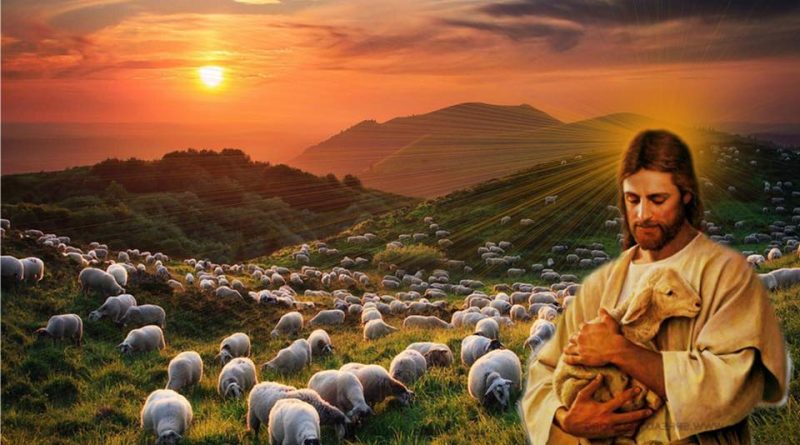 Župni oglasi: nedjelja Dobrog  pastira
