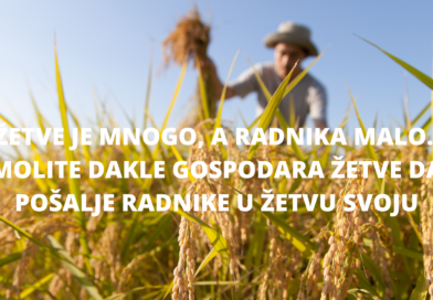 Župni oglasi: 14. nedjelja kroz godinu